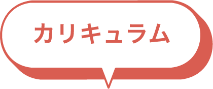 カリキュラム