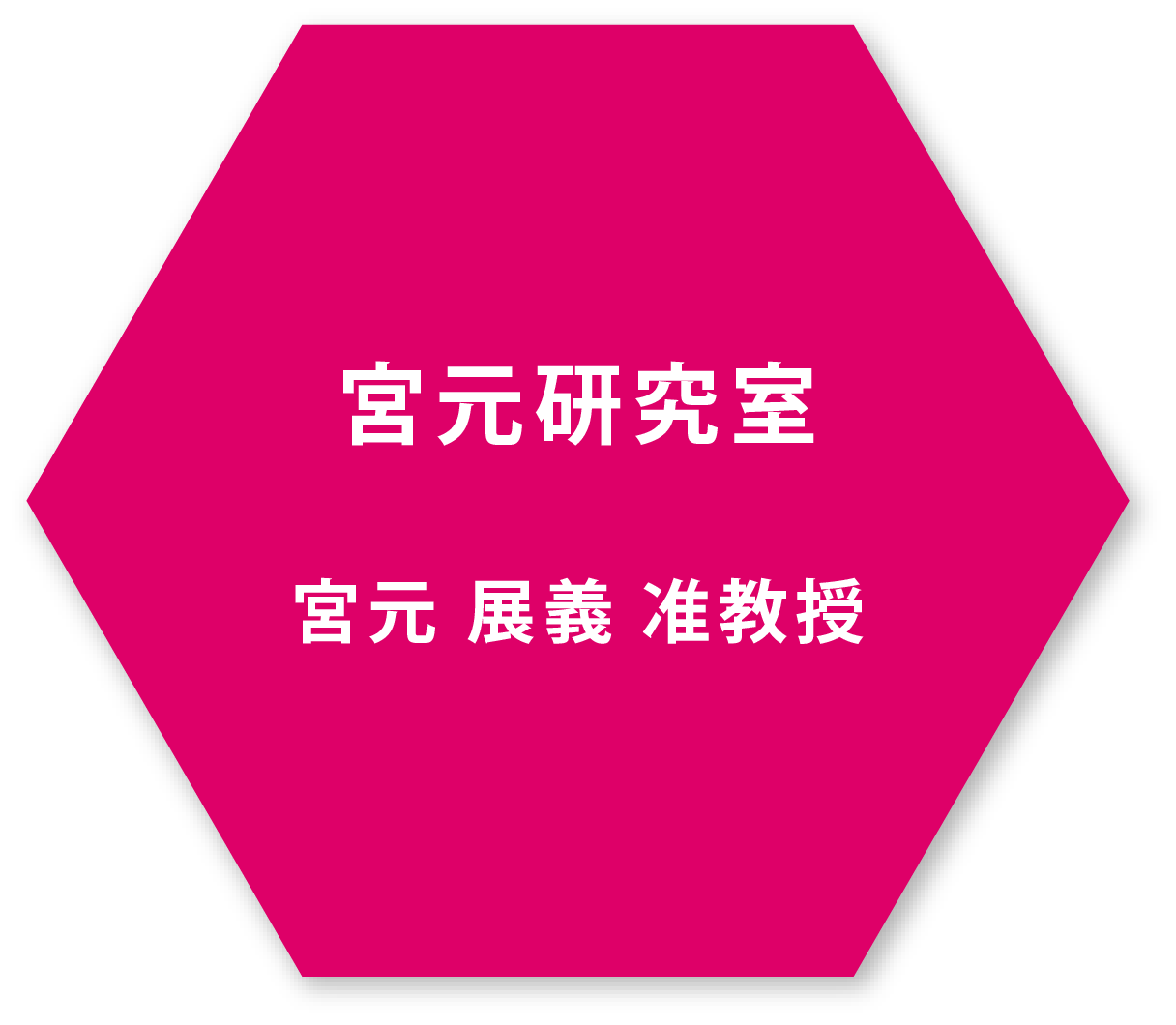 宮元展義准教授 宮元研究室